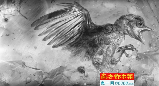 说明: http://kepu.gzsi.gov.cn/upload/images/2017/6/12171336220.jpg